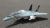    F-14 Tomcat (PNP)