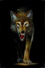 Картина из кристаллов Волчья охота