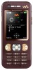 Мобильный телефон Sony Ericsson W890i Chocolate